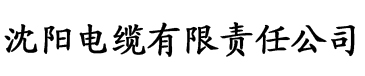 91香蕉a导航电缆厂logo